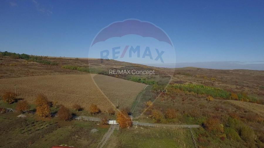 Teren Pădureni (Chinteni), intravilan, parcelabil - 7