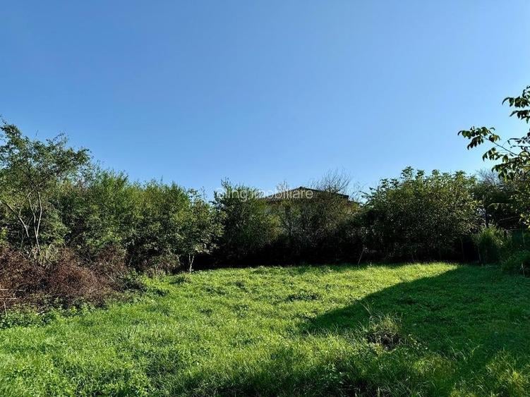 Teren 490mp intravilan in Buna Ziua constructii Case  - 2