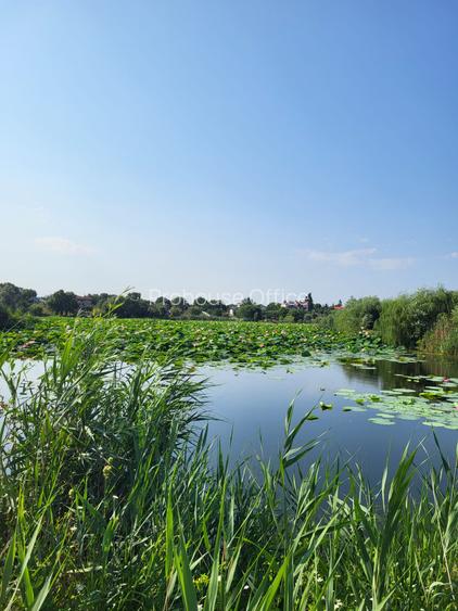 Acces direct la lac, utilități, locație premium – terenul ideal în Izvorani - 3