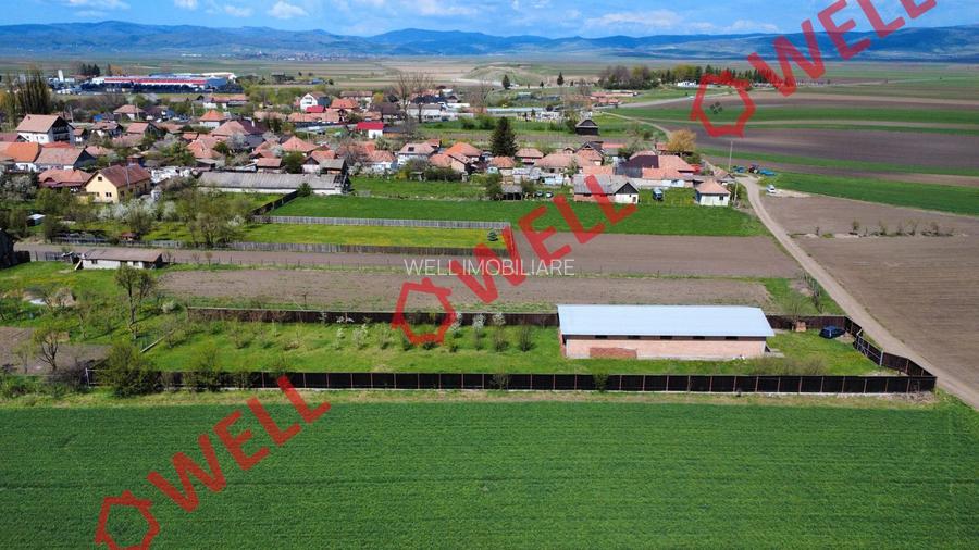 Hală industrială de vânzare în Târgu Secuiesc, pe strada Kanta! - 3