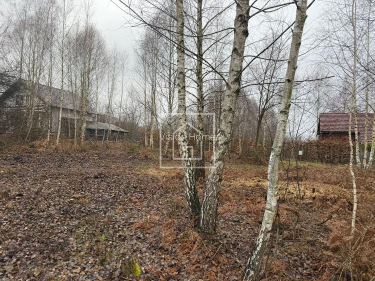 Teren intravilan 520 mp Valea Avrigului ideal cabana A-frame - 6