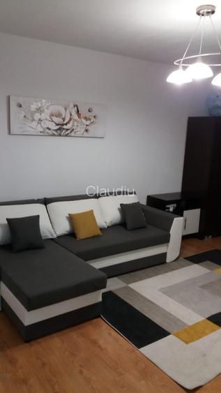Inchiriez apartament renovat cu 2 camere decomandate - strada Paltinis - 7