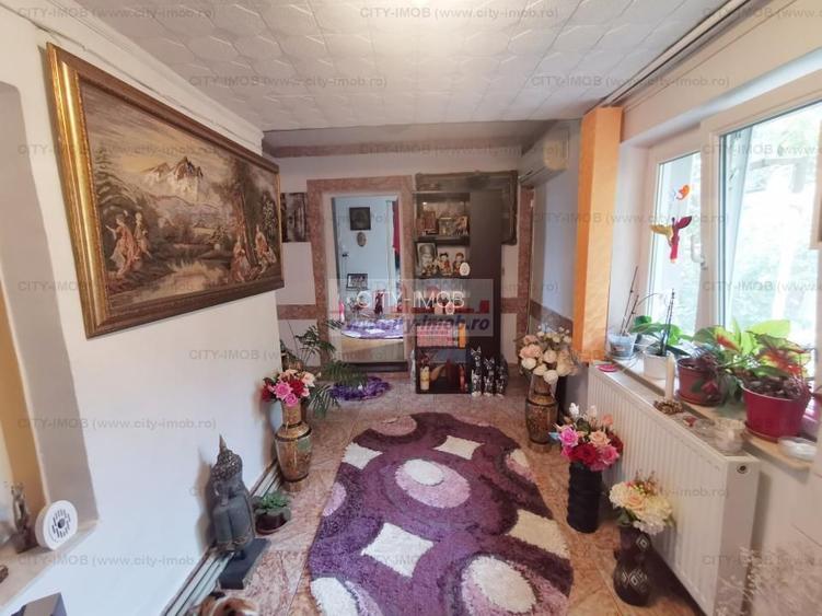 Vanzare casa Andronache - 4