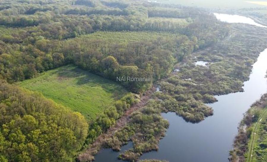 Vanzare Teren Central, Moara Vlasiei - 4