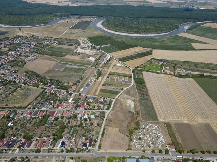 Teren intravilan 6.005 mp in Zădăreni - 11