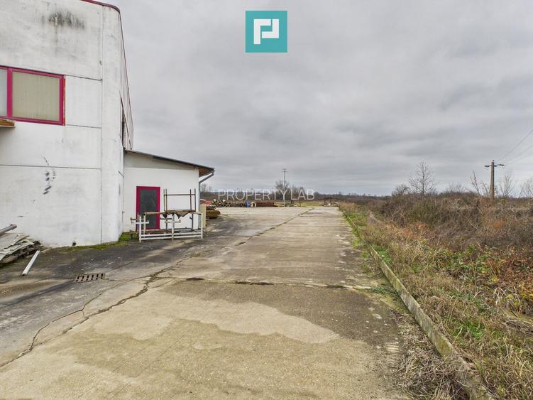 Hală de producție, cu birouri și teren, în Sebiș - 52