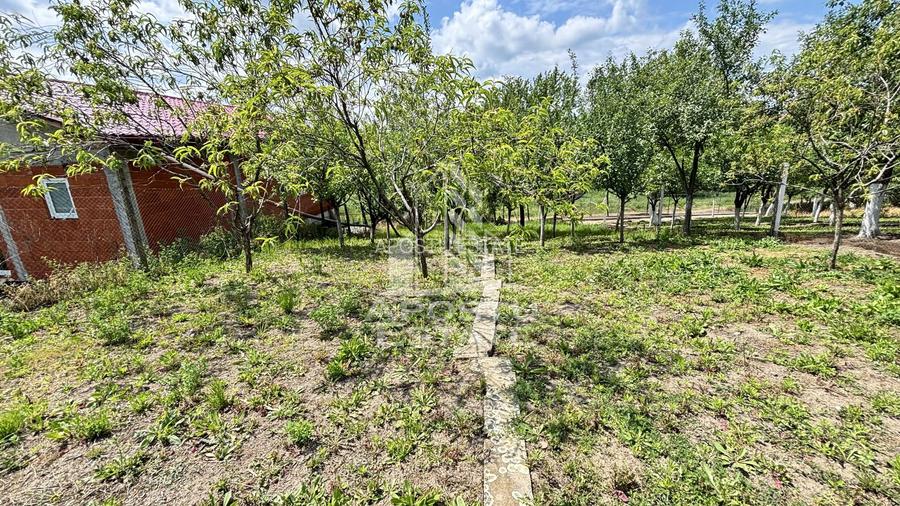 Casa spatioasa, teren 1348 mp, Giarmata - 16