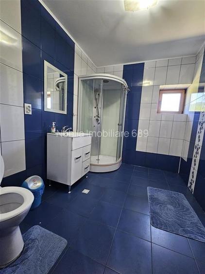 TEREN INTRAVILAN DEVANZARE 33161 MP DE VANZARE TARGU OCNA - 19