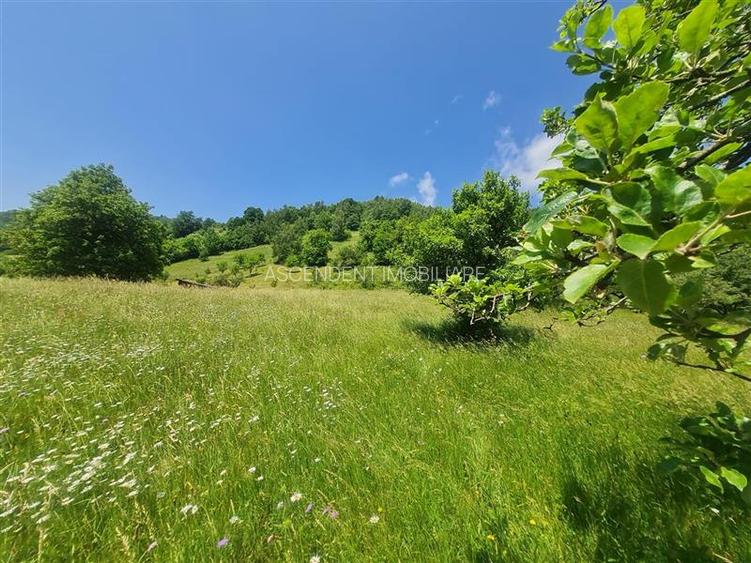 Teren 1.450 mp intravilan, la DN, cu priveliste de carte postala, Bran, Moieciu, - 10