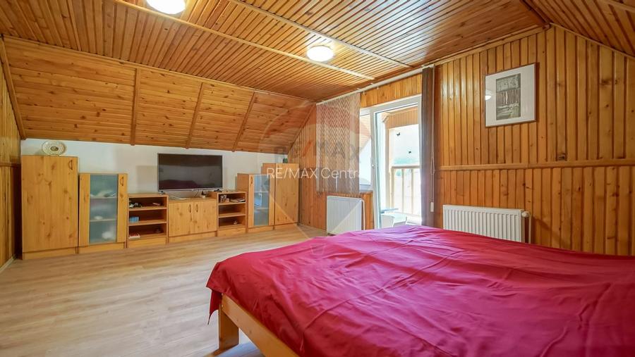 Casă falnică, curte individuală, langă Piața Unirii, în inima Scheilor - 19