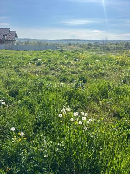 Teren de vanzare Târgu Jiu  - 8