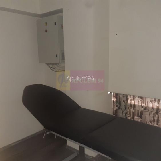 Spatiu Comercial Stradal Șoseaua Colentina zona Teiul Doamnei Suveica - 47