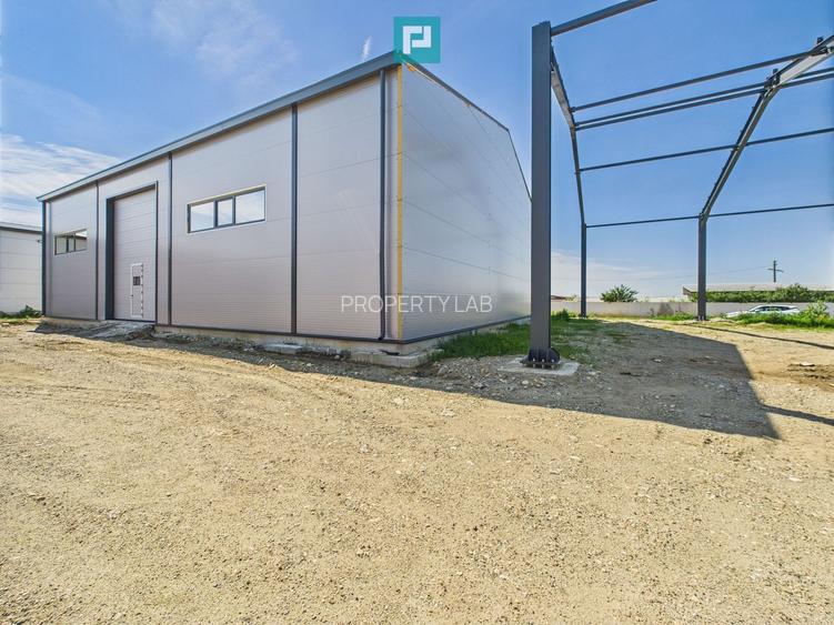 Hală industrială în zona Giarmata – Timiș - 7