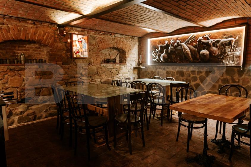 Conac de vanzare 7 camere cu bai proprii, crama, ciubar si potential  - 18