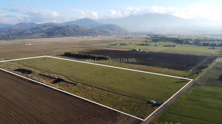 Proiect Rasnov Teren Intravilan, 45 de loturi- Investitie! - 4