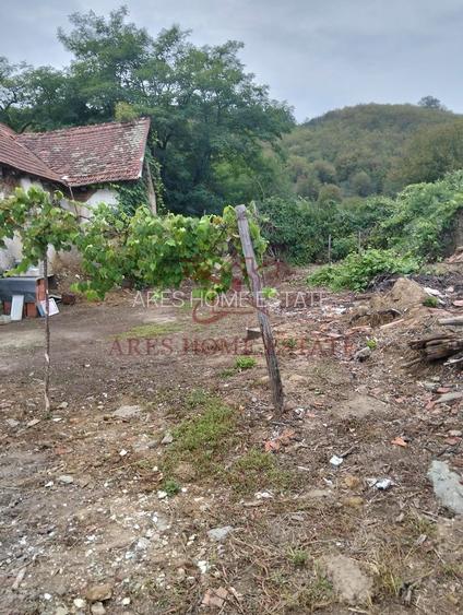 Casa spatioasa | 1500 mp teren - Ticvaniu Mare CS - 9