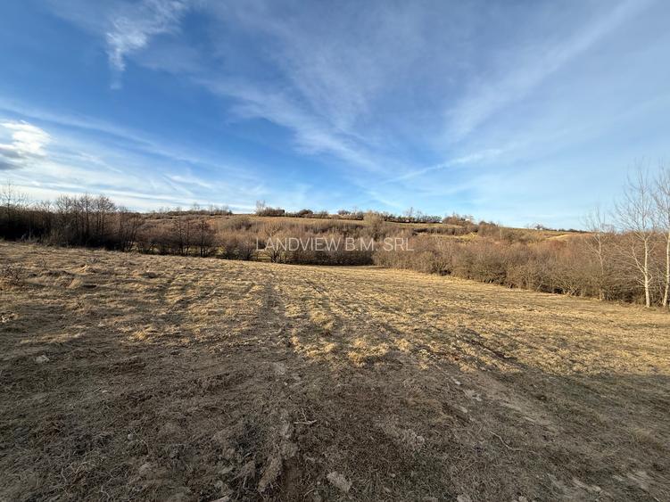 Teren intravilan 500 mp sau 1000 mp în Zarnesti –Tohanita cu parau(izvor) - 9