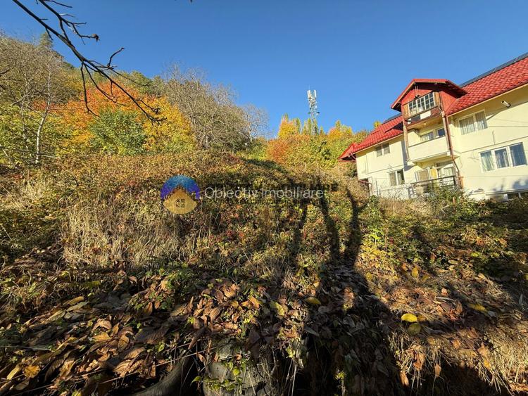 Teren intravilan 1543 mp – zona Darmanesti - 4