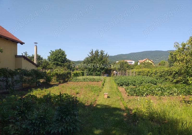 Teren Intravilan Vanzare 1400 mp. Alba Micesti deschidere 16m. Toate Utilitatile - 4