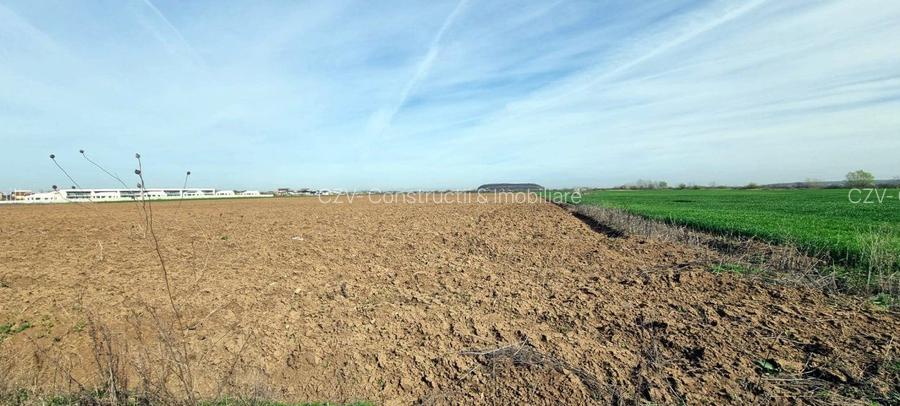 „Corbeanca – aer curat, potențial mare, preț competitiv. 4 loturi - 5