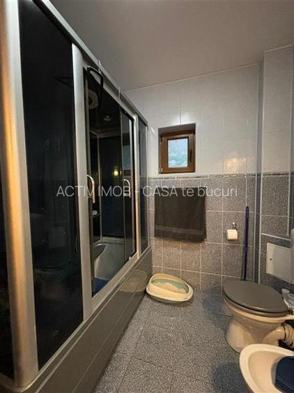 Vila Premium, Robusta, Versatila, Colentina (Parc Plumbuita) - 24