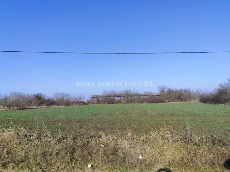 Gradistea/Zona padure - 2