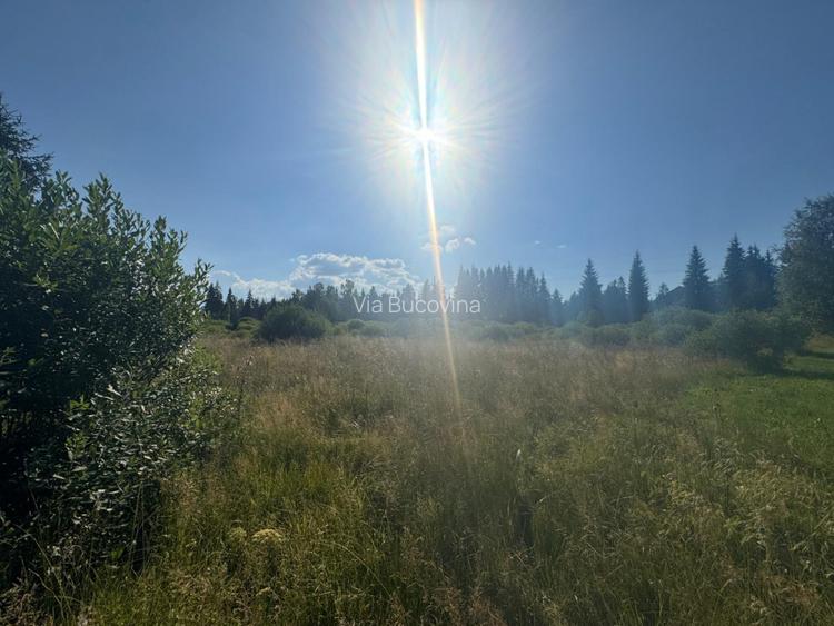   12700 mp investitie rezidentiala- turistica- medicala Tinovul Mic/Șaru Dornei  - 8