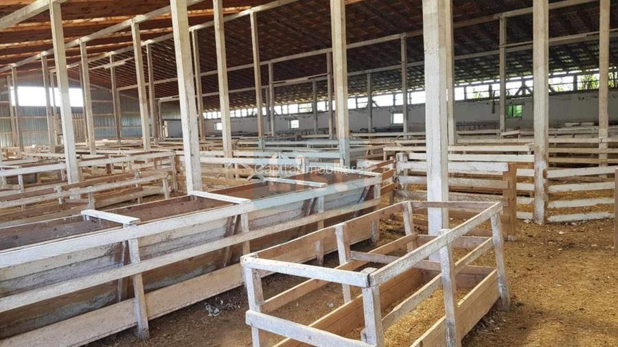 Ferma langa Oravita 5600 mp construiti si teren 24281 intravilan - 7