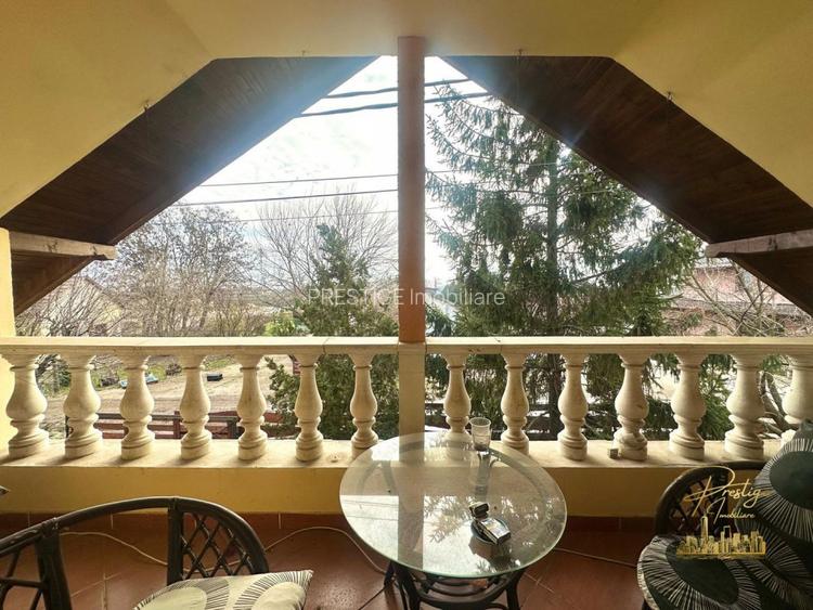 Domeniu - Centru de colectare, 7 ha de vanzare in Valea lui Mihai - 40