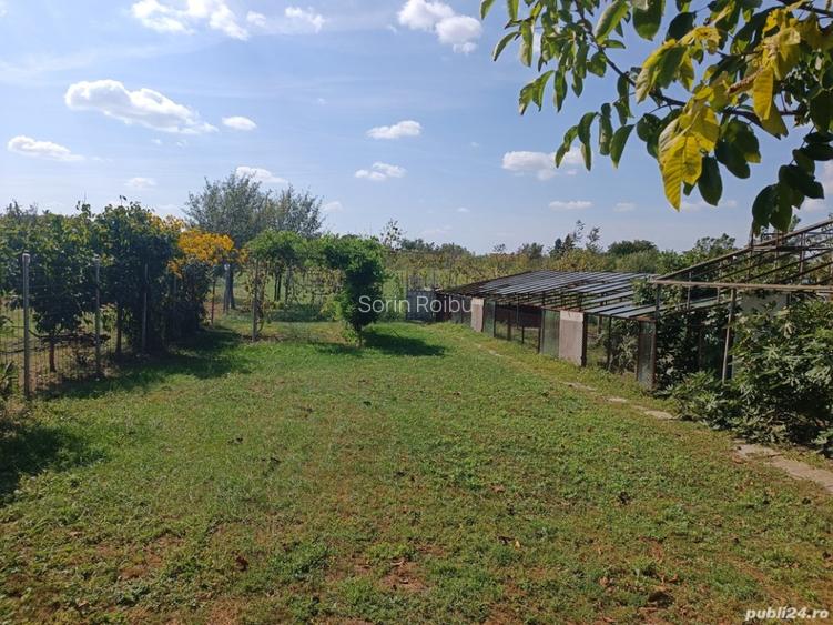 casa cu curte si gradina mare - 2