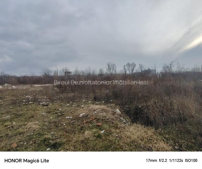 Teren 12 000 mp Tudor Vladimirescu - 3