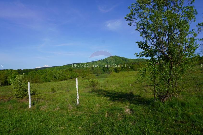 Teren 38,592mp Sighetu Marmatiei / Strada Mocăniței - 20