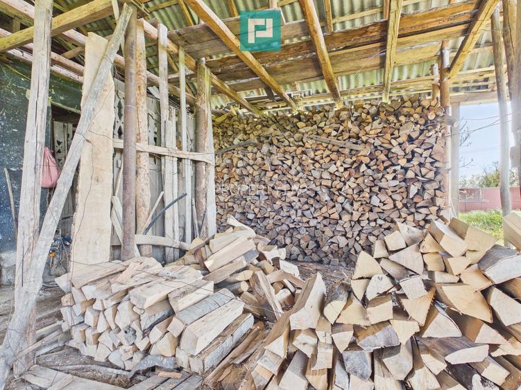 Casă solidă cu 5 camere in localitatea Almaș, Arad - 23