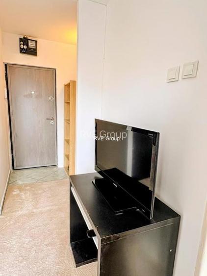 Vanzari Garsoniere Colentina Teiul Doamnei - 3