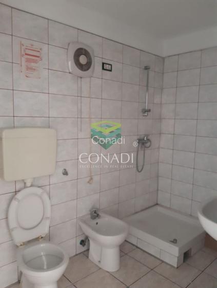 De inchiriat Hala C1 - zona DNCB Clinceni - 7