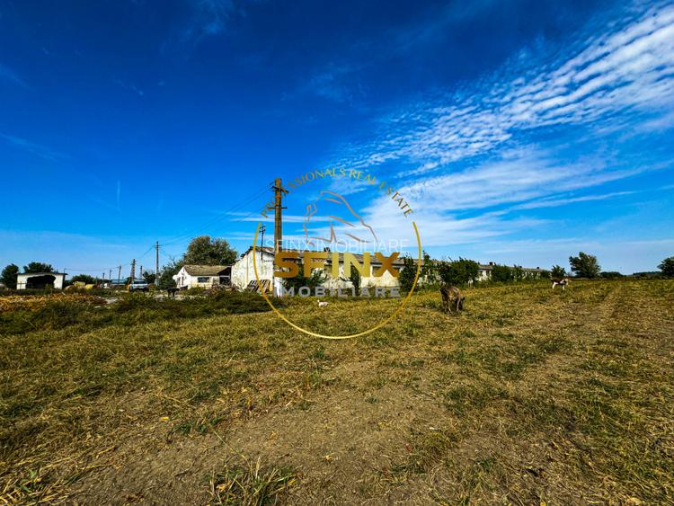 Teren intravilan 62000mp - ferma - logistica - depozitare - 2