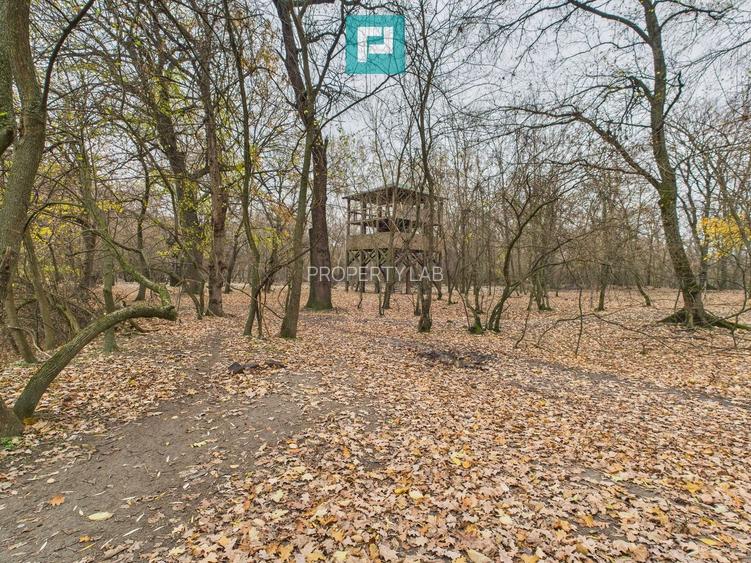 Teren pe malul Muresului- oportunitati multiple - 6