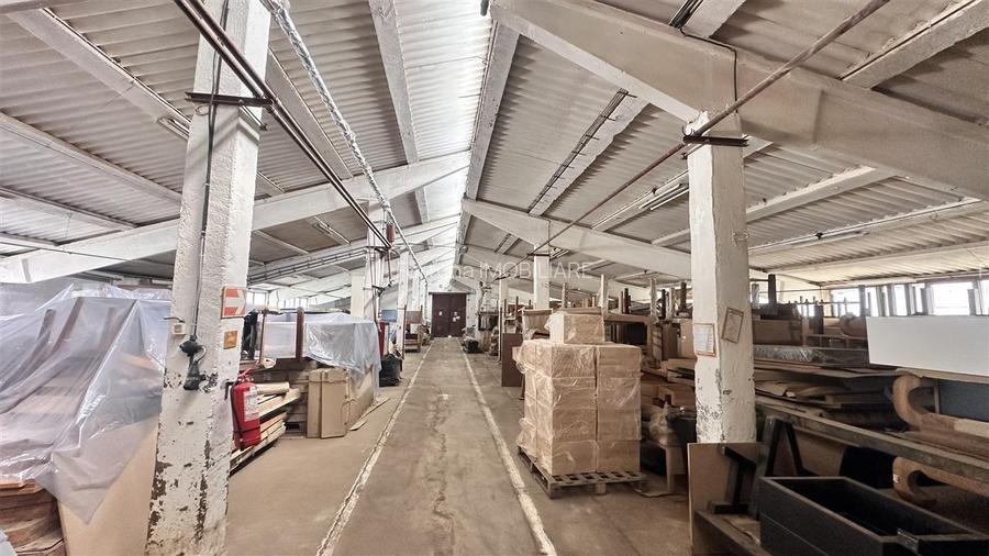 Hale industriale Teliu - 145000e  200.000e  450000e - 4