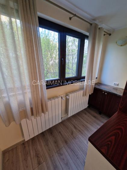 COLENTINA-D-NA GHICA, VAV DE PARCUL PLUMBUITA - 14