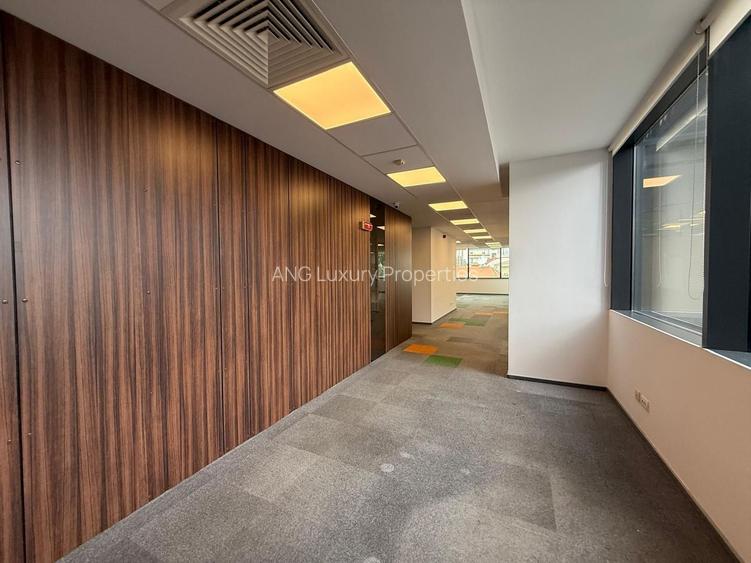 Spațiu de Birouri Premium pe Calea Floreasca – Versatil și Gata de Mutare - 2