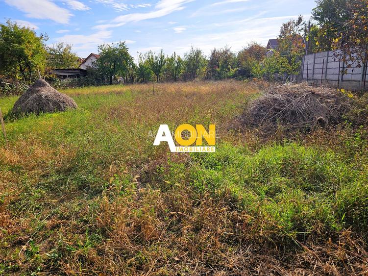 Oportunitate de investiție în inima Cartierului Cetate! - 2