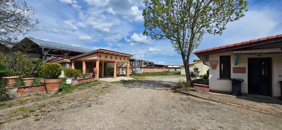 Teren + hale industriale 8785mp + casă–Oportunitate investiție / producție – - 32