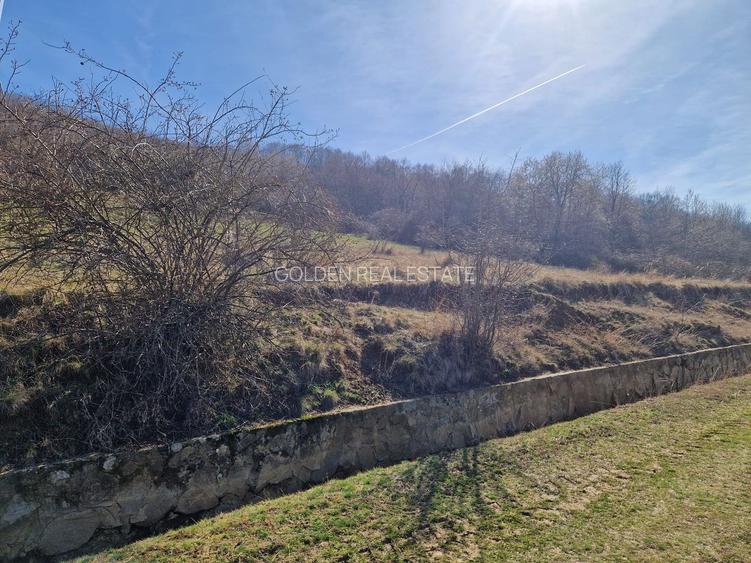 Teren extravilan,  zona si priveliste superba, Cuvin - 3