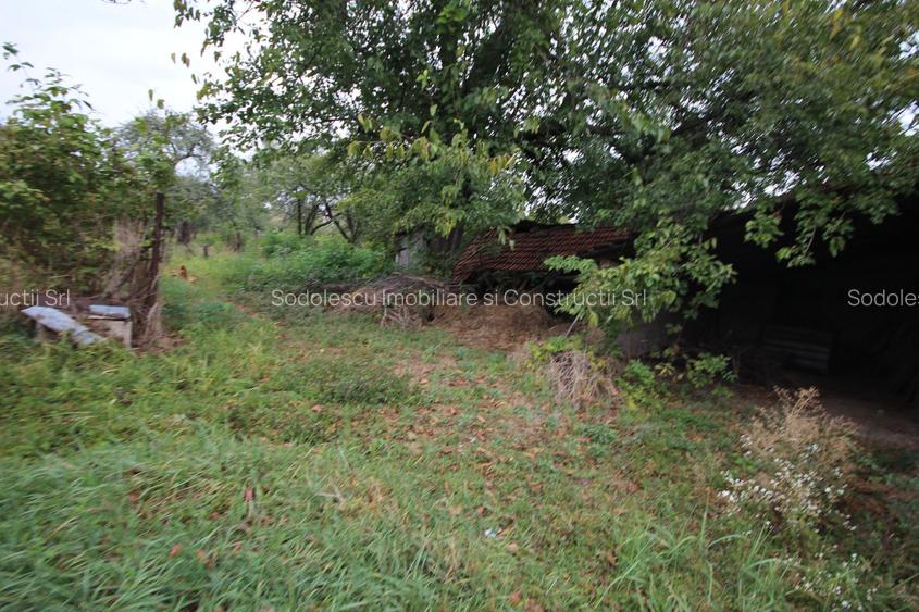 Teren de vânzare - 1900 mp Dumbravita - 4