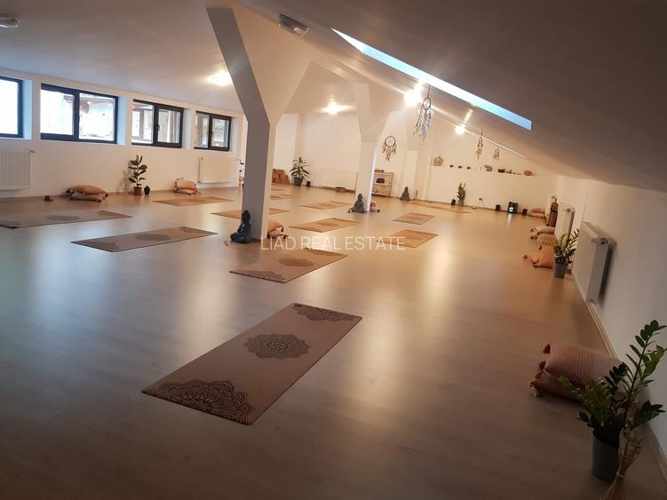 Studio sau birouri mansarda Universitate - strada Sfintilor 6 - 4