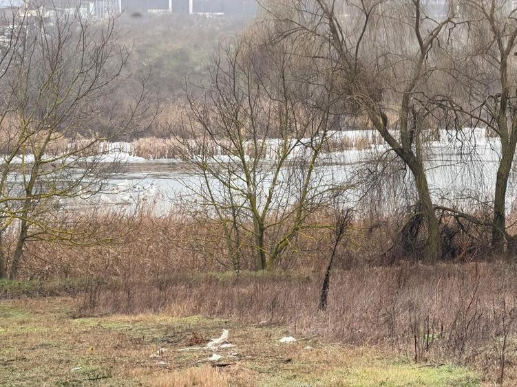 Teren cu deschidere la lac | 50 m Padure | 1000 MP - 8