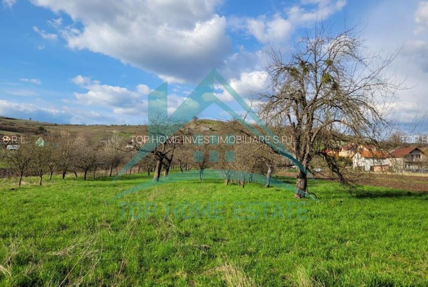 EXCLUSIVITATE! Teren intravilan de vanzare in zona linistita, sat Vlaha! - 2