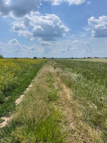 Proprietar vând teren extravilan Comuna Berceni Ilfov 5024mp preț 12/mp - 2