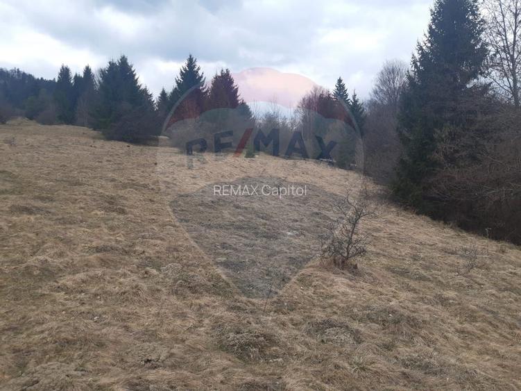 Teren Rasnov/ Soseaua Predealului DN73B - 3