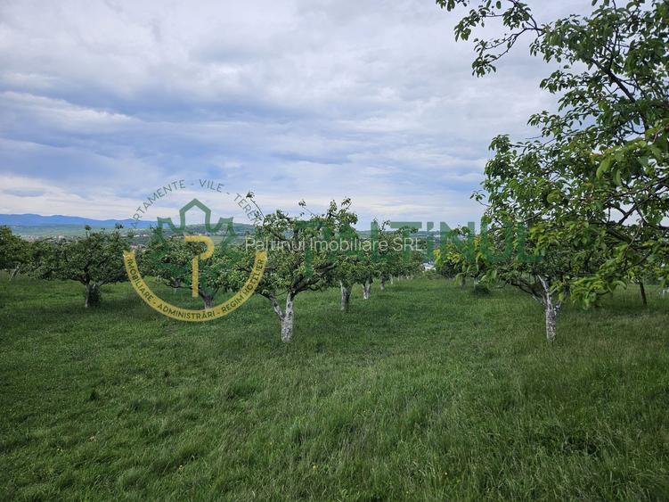 Teren 5.000 mp cu priveliște superbă – Cisnădie, Sibiu - 3